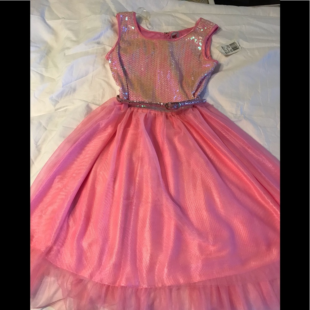 Pink sequin and tulle Dress